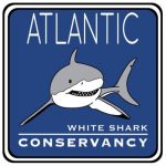 Atlantic_White_Shark_Conservancy_logo 