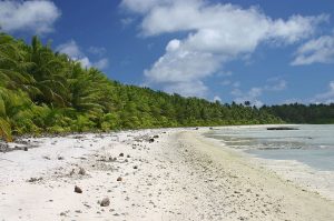 800px-PalmyraNorthBeach By en:User:Clarkma5 - en:wikipedia, Copyrighted free use, https://commons.wikimedia.org/w/index.php?curid=1087628