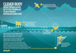 optus_infographic