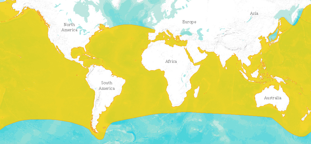 International Union for Conservation of Nature (IUCN) 2009. Carcharodon carcharias. The IUCN Red List of Threatened Species. Version 2014.1 . Downloaded on 4 July 2014