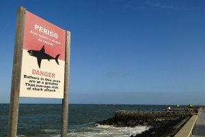 Shark_sign