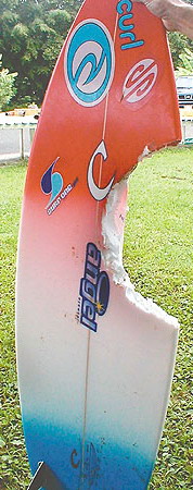 Bethany Hamilton's surf board. Credit Jan Tenbruggencate