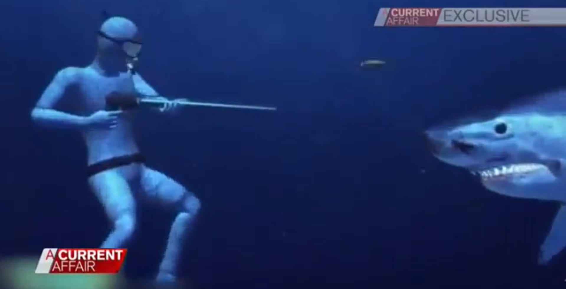 A Current Affair animation of Matt preparing to fire at the shark