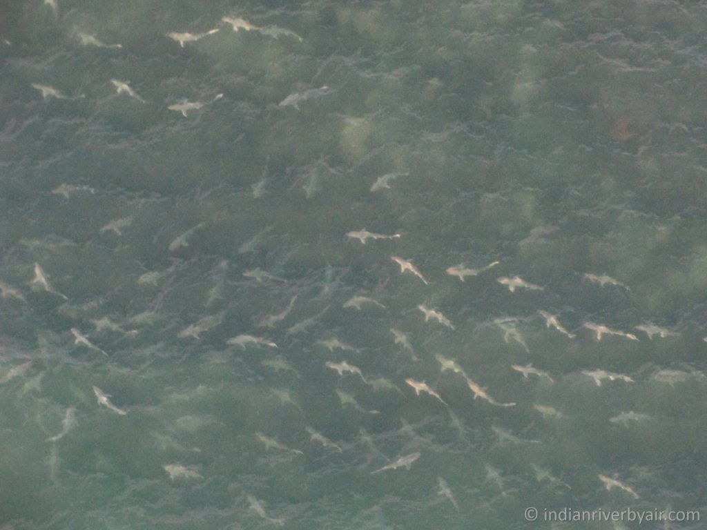 tumblr_nmai9bDsMR1s4p15eo1_1280