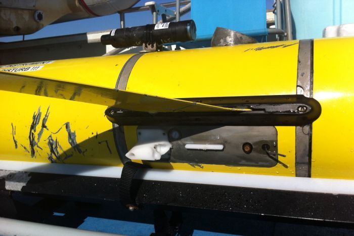 University of western australia shark bite glider