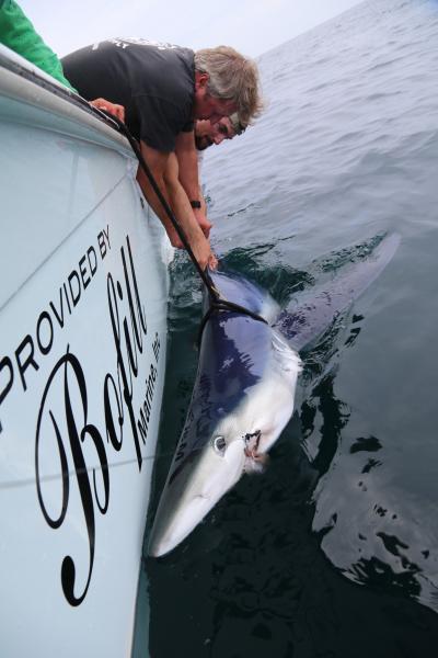 Beamer being tagged OCEARCH