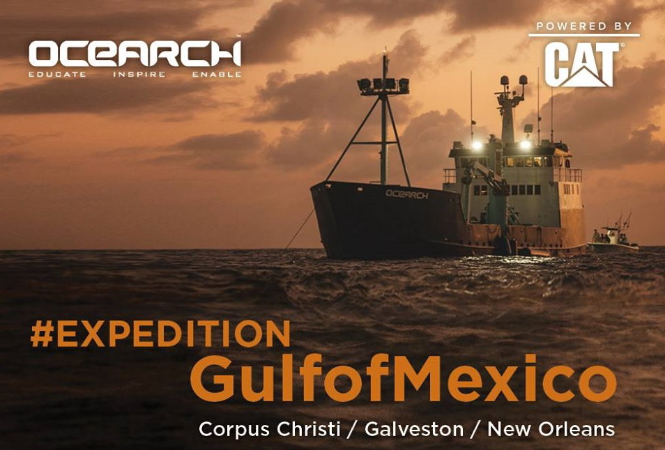 exp-gulf-of-mexico-OCEARCH1