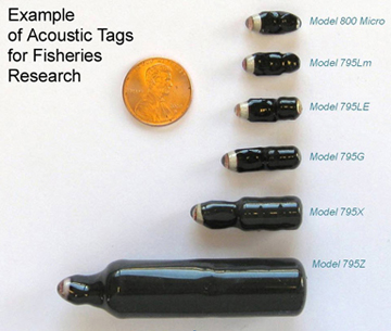 examples of acoustic tags Fishers-research