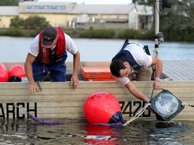 David Guyomard and Christophe Perry test shark drum lines in the Bellinger River near Coffs Harbour / Picture: Nathan Edwards