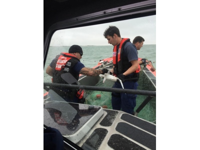 USCG