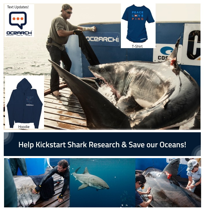 Want to help OCEARCH with Great White Shark research?