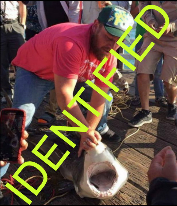 Photo: California Game and Fish