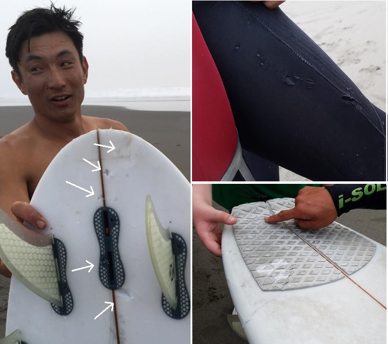 Yuma and his board via the Lost Coast Outpost