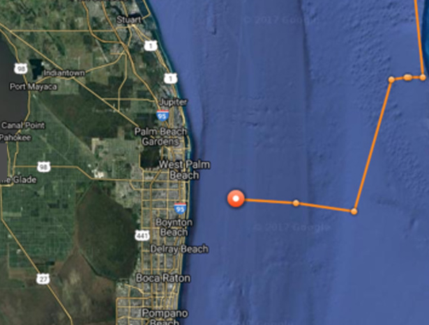 Katharine_great_white_shark_tracking_florida_2017