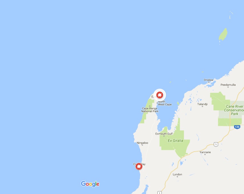 Snorkeler Bitten by a Shark in Bundegi Sanctuary Zone