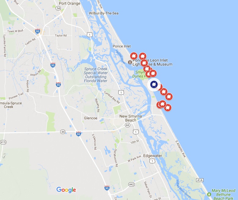 Shark Bites Surfer In New Smyrna Beach Florida