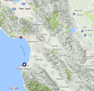 Video:Great white shark attacked a kayak off California coast