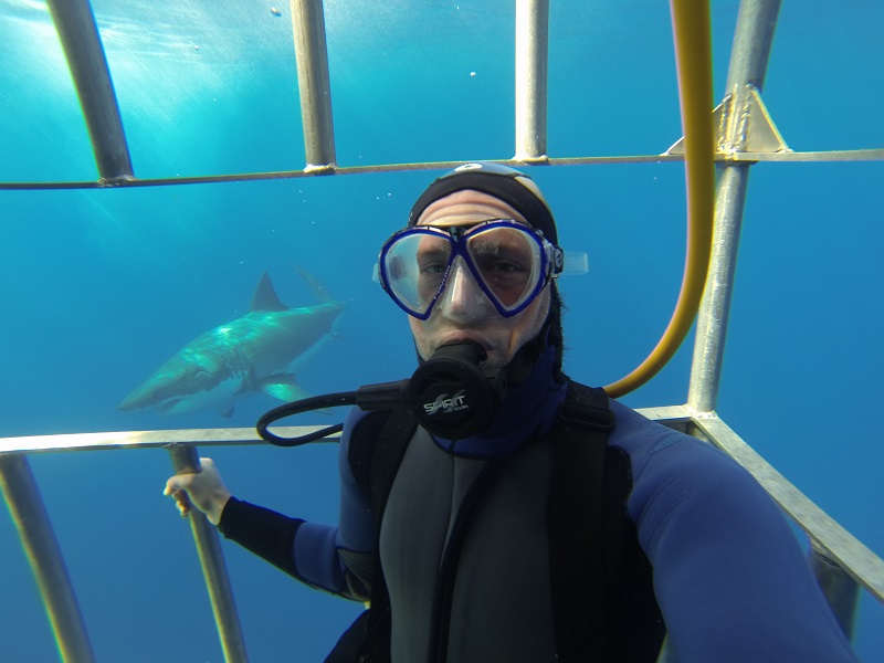 Shark cage diving