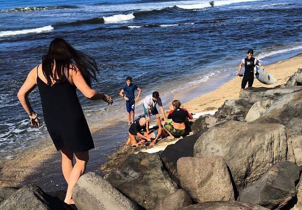 2017_shark_attack_bite_hawaii_Tiger_shark_Baboo