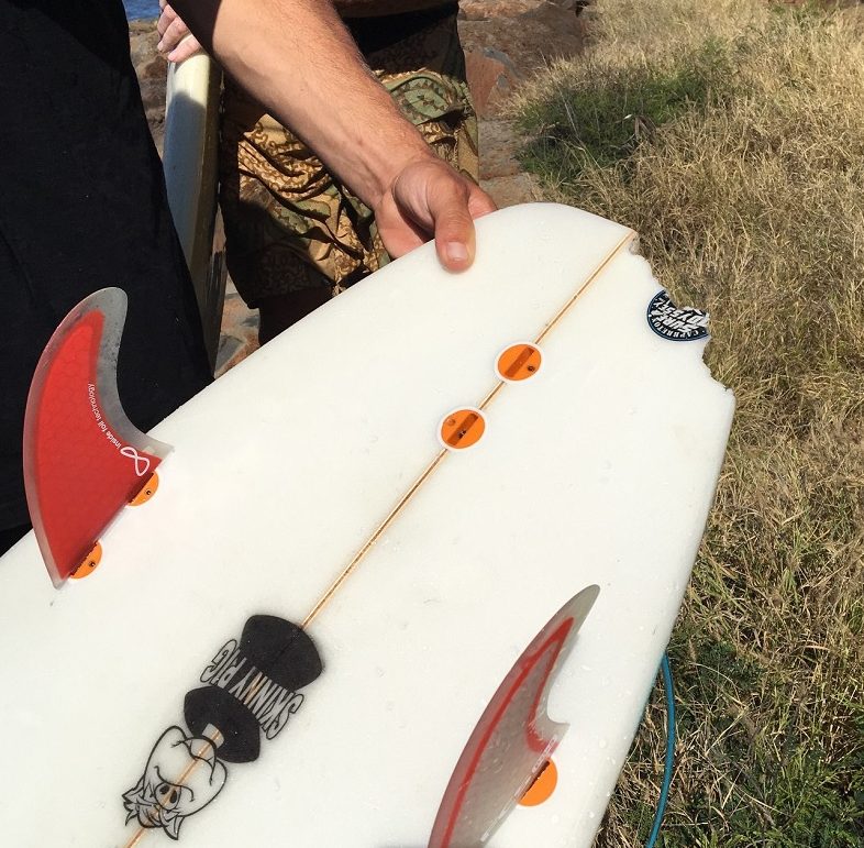 tiger shark bites surboard