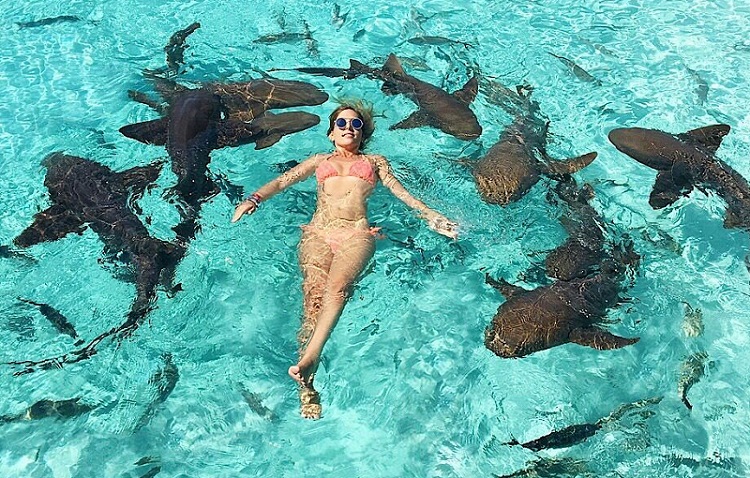 bitten by a shark in the Bahamas