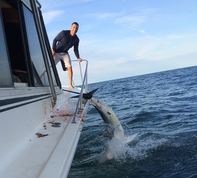 mako shark on boat bow