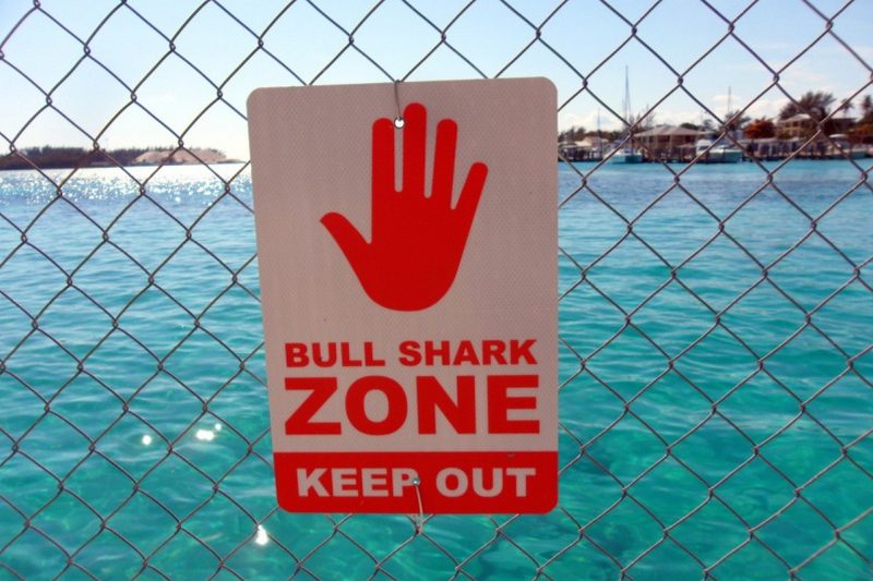 no swimming sign warning of bull sharks