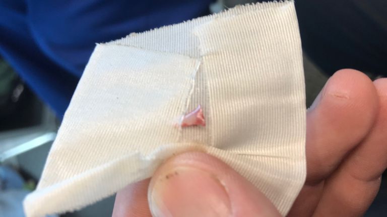 shark tooth fragment