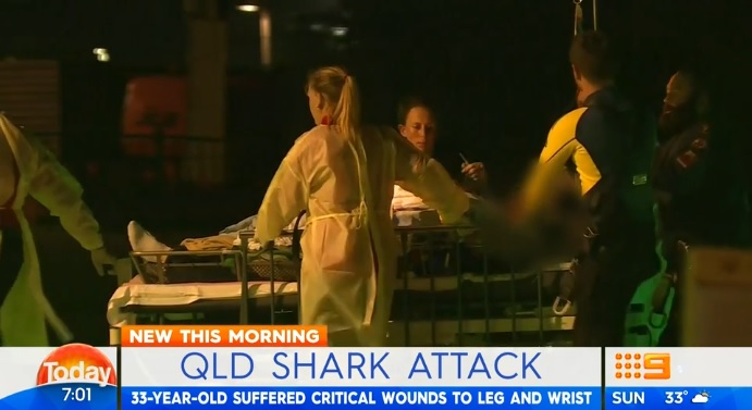 Fatal shark attack in Queensland