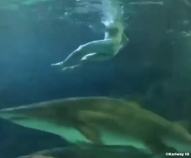 naked man jumps into Ripley's aquarium.