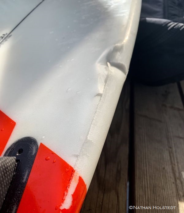 shark bitten surfboard in Oregon