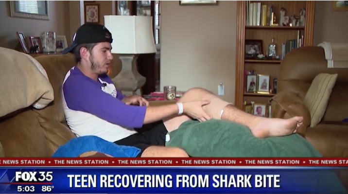 shark bite in Florida