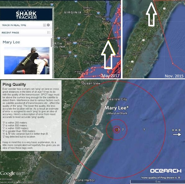 Bad pings from SPOT tag