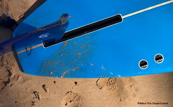 Shark bites surfer’s board in Maui