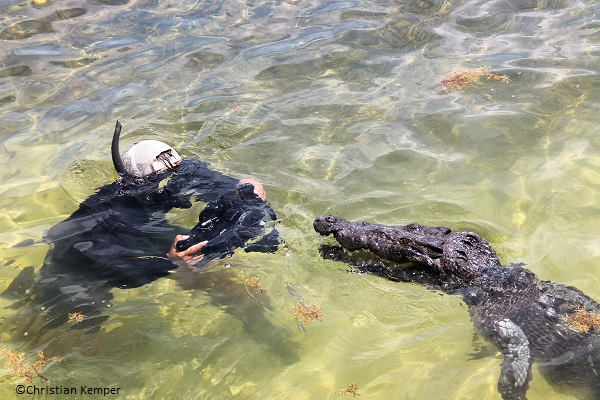 Eli Martinez crocodile diving