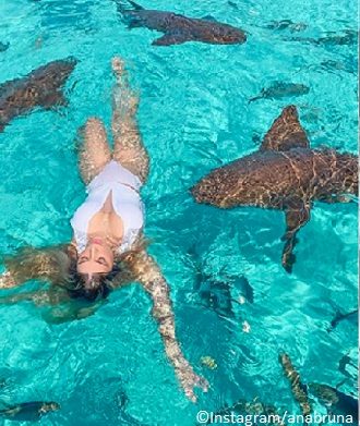 model about to be bitten by shark