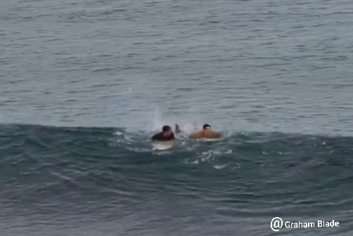 SHark bites surfer on video