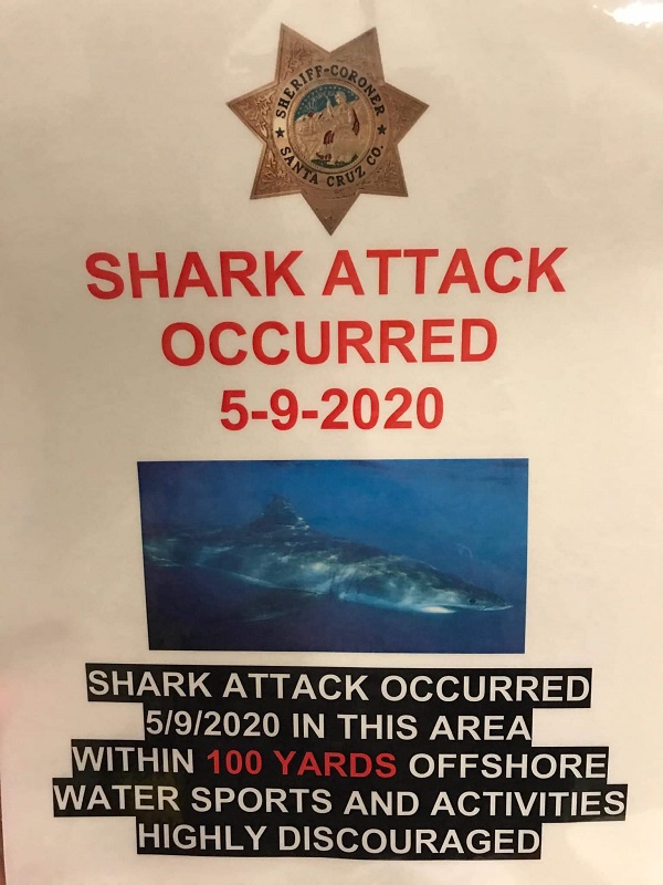 Shark Attack warning sign