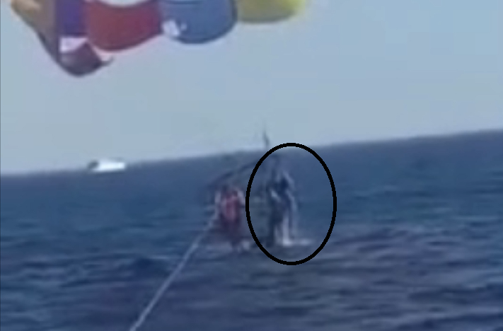 parasailing shark attack