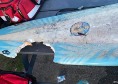 Surfer nearly loses arm in 10-foot great white shark attack; 8-year-old bitten by shark in Florida
