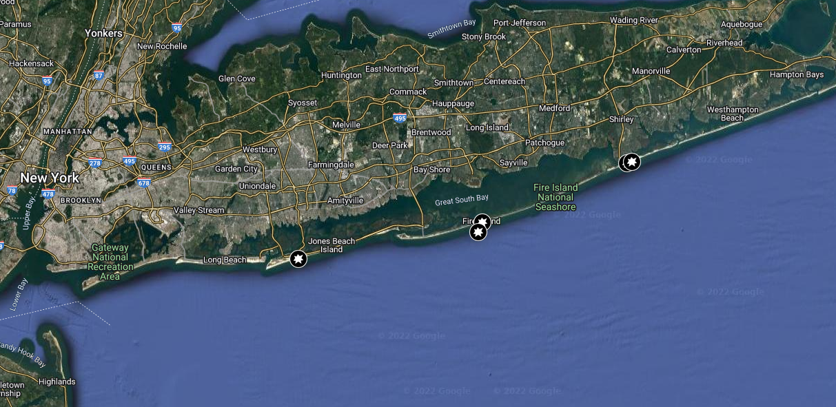 2022 New York shark attacks locations