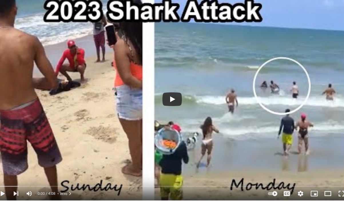 two teens lost limbs to shark attack