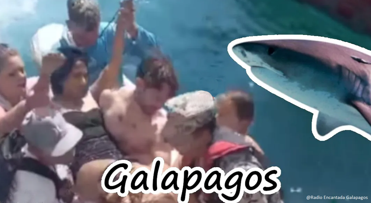 Shark attack Galapagos