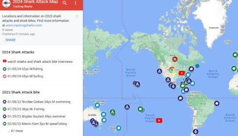 2024 Shark Attack Map Tracking Sharks